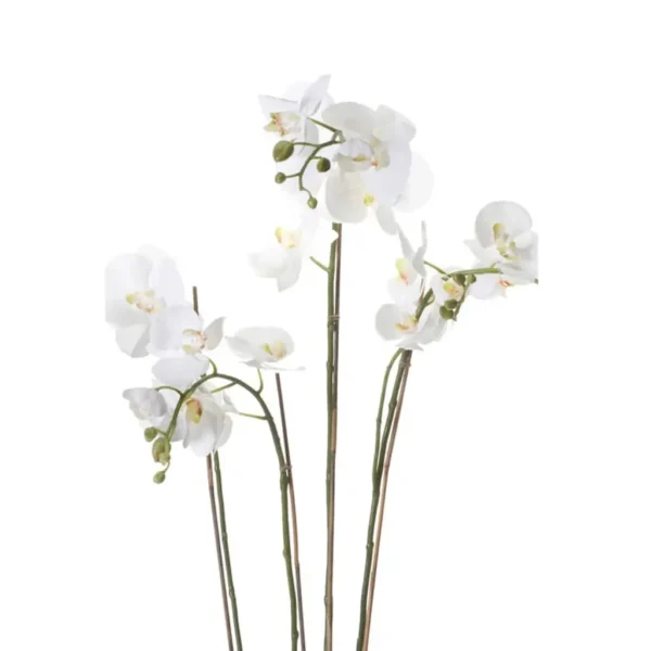 Emerald Artificial Phalaenopsis with Moss White 90 cm 20.355 - Image 2