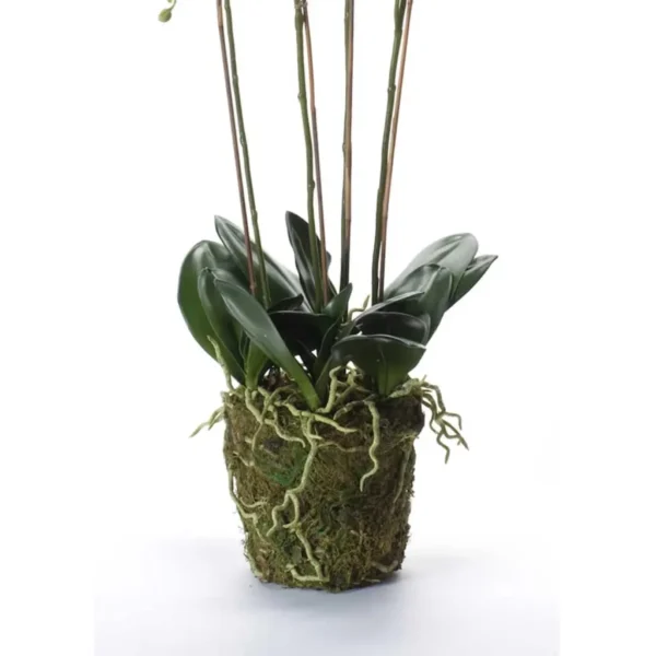 Emerald Artificial Phalaenopsis with Moss White 90 cm 20.355 - Image 3