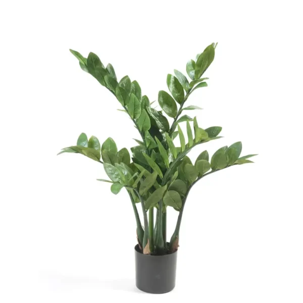 Emerald Artificial Zamioculcas 70 cm - Image 2