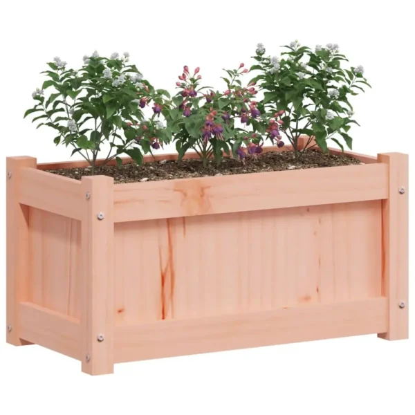 vidaXL Garden Planters 2 pcs Solid Wood Douglas - Image 4