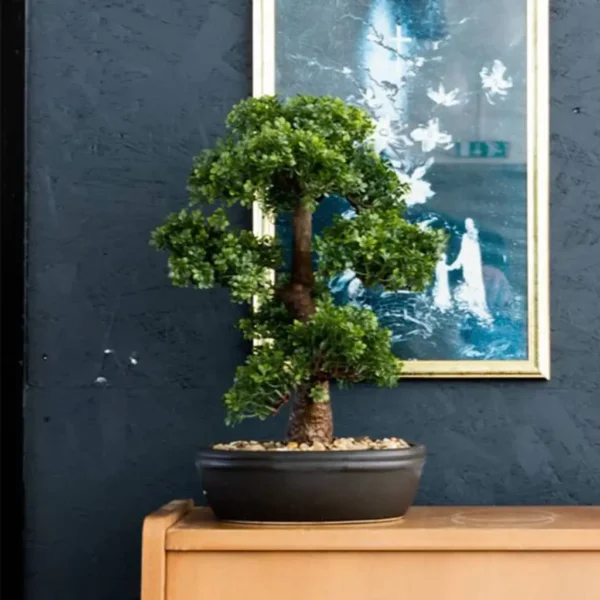 Emerald Artificial Ficus Mini Bonsai on Brown Plate 43 cm - Image 3