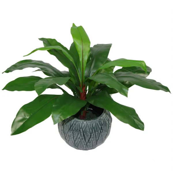 Artificial Bird Nest Fern Plastic weighted pot 60cm Plants - Image 2