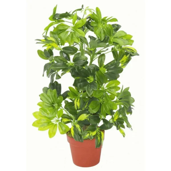 Artificial Arboricola Plant 75cm Silver Planter - Image 2