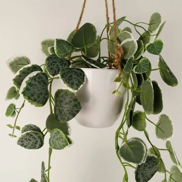 90cm Artificial Potted Trailing Hanging Natural Look Plant Realistic - String of Hearts - Image 3