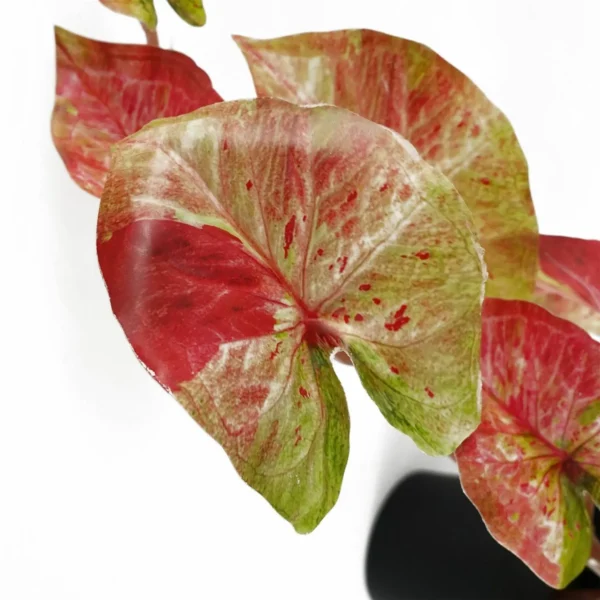 35cm Artificial Trailing Hanging Plant Realistic Pink Splash Caladium - Image 2