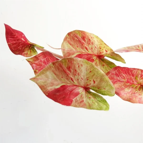 35cm Artificial Trailing Hanging Plant Realistic Pink Splash Caladium - Image 4