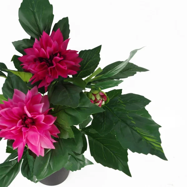 Artificial Dhalia Plant Flowers Plant Pink - Image 4