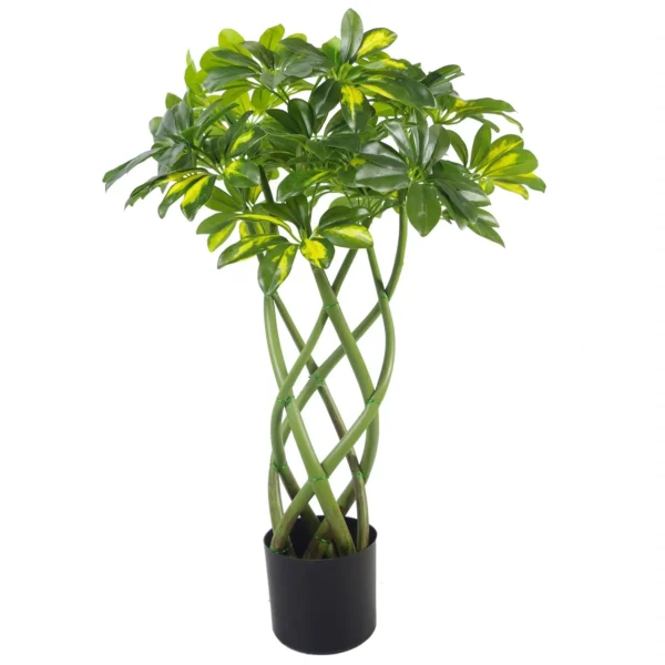 70cm Artificial Twisted Stem Gold Arboricola - Image 2