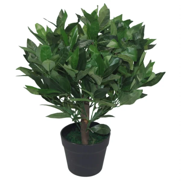 Artificial Bay Laurel Trees - Large Statement Entrance Trees - Image 6