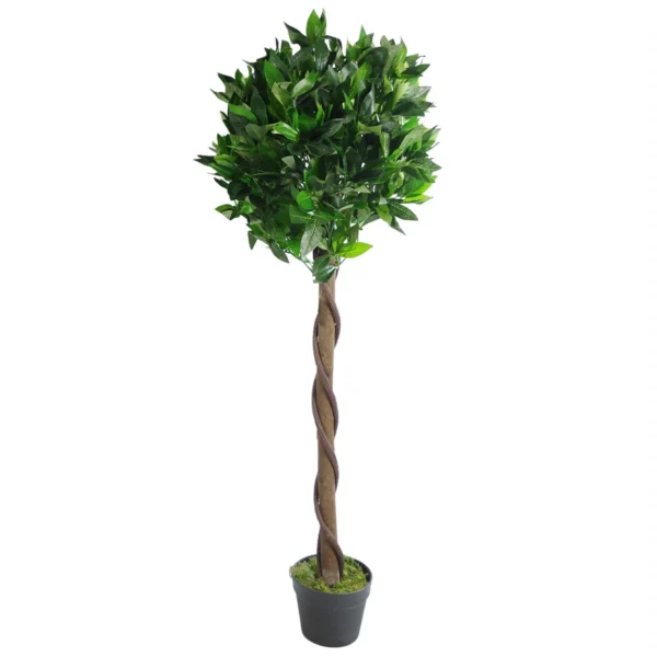 Artificial Bay Laurel Trees - Large Statement Entrance Trees - Image 9