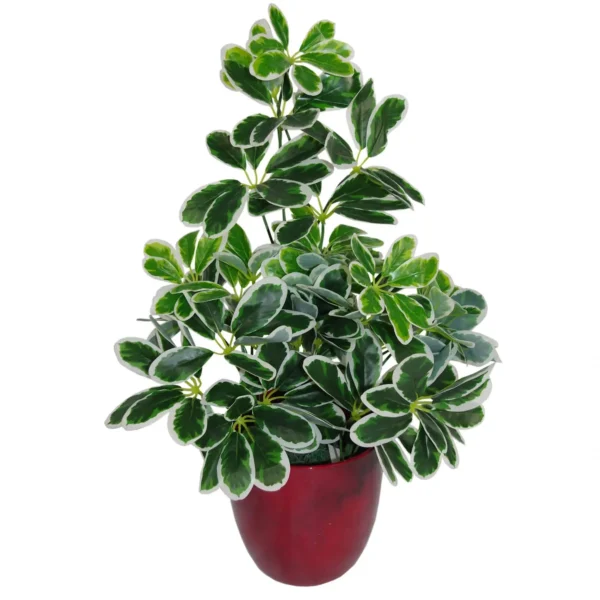 Artificial Arboricola Plant Umbrella Tree Black Plastic Pot 55cm - Image 4