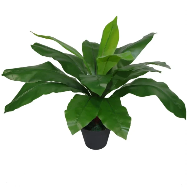 Artificial Bird Nest Fern 50cm ard Plants - Image 3