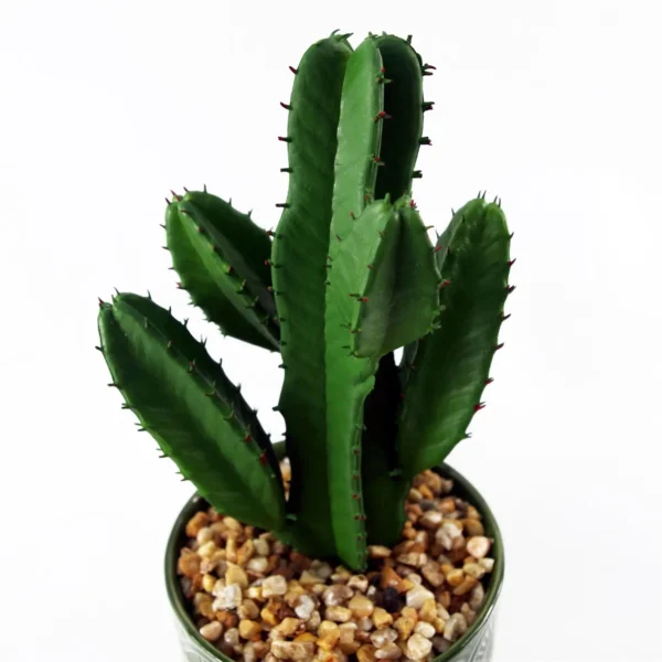 Artificial Cactus Cacti Planter Green Ceramic - Image 4