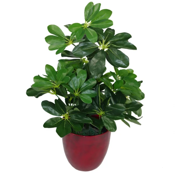 Artificial Arboricola Plant Umbrella Tree - Image 3