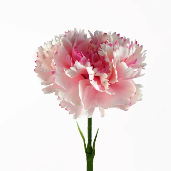 12 x Pink Carnation Artificial Flower