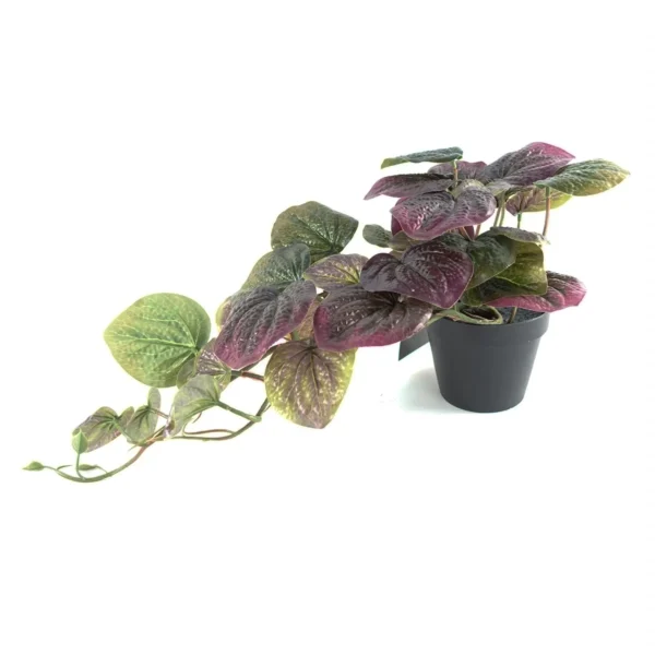 35cm Artificial Trailing Purple Pothos Plant - Image 3