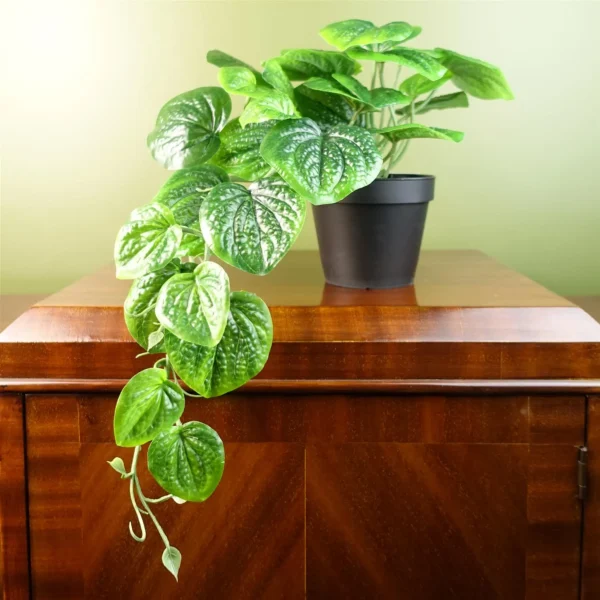 35cm Artificial Trailing Look Pothos Plant