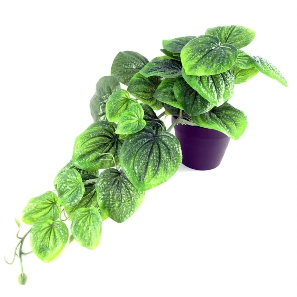 35cm Artificial Trailing Look Pothos Plant - Image 2