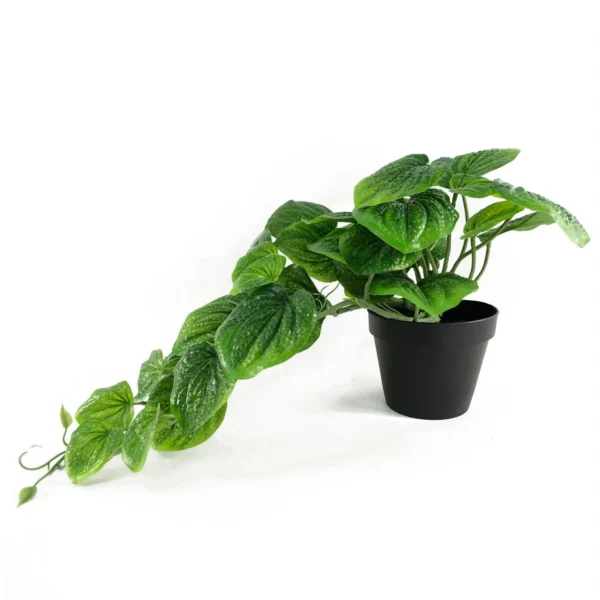 35cm Artificial Trailing Look Pothos Plant - Image 5