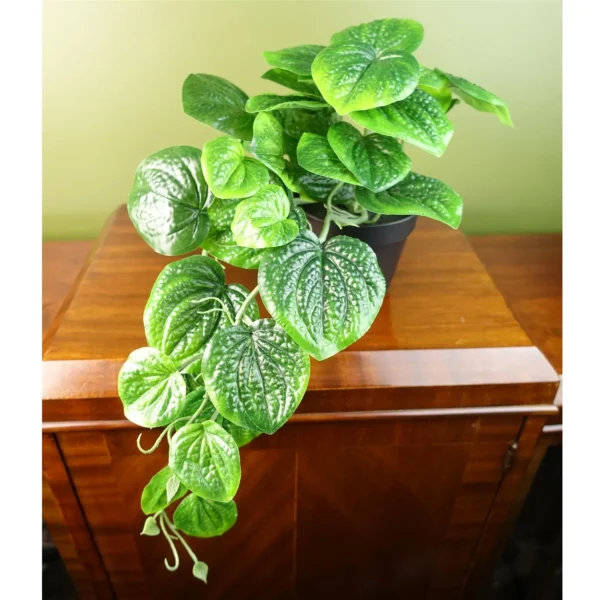 35cm Artificial Trailing Look Pothos Plant - Image 6