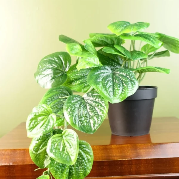 35cm Artificial Trailing Look Pothos Plant - Image 7