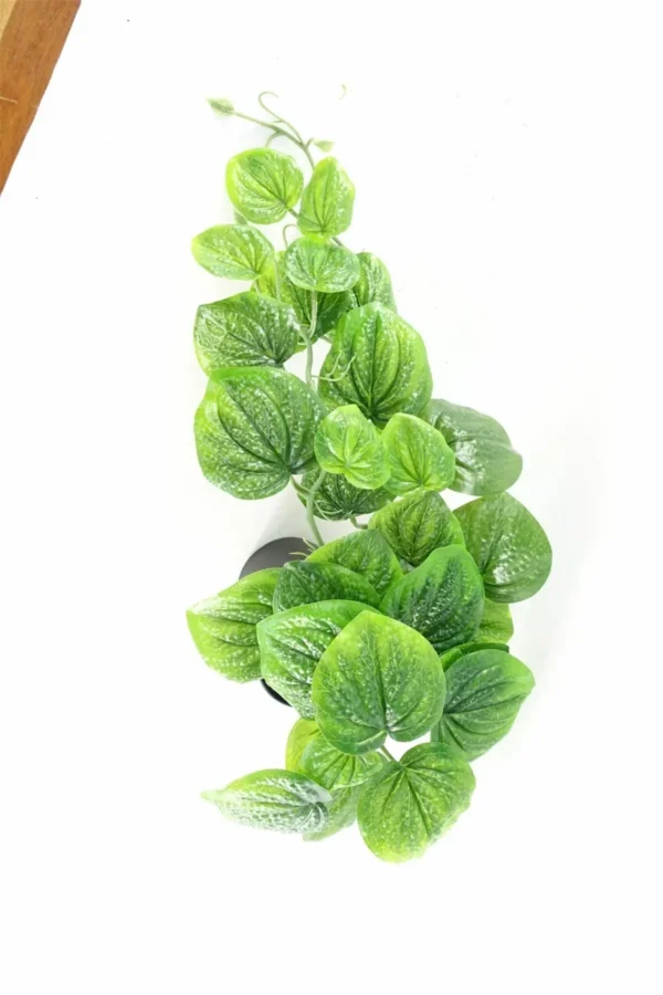 35cm Artificial Trailing Look Pothos Plant - Image 8