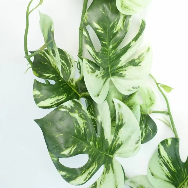 180cm Artificial Trailing Hanging Variegated Monstera Plant Realistic - Image 5