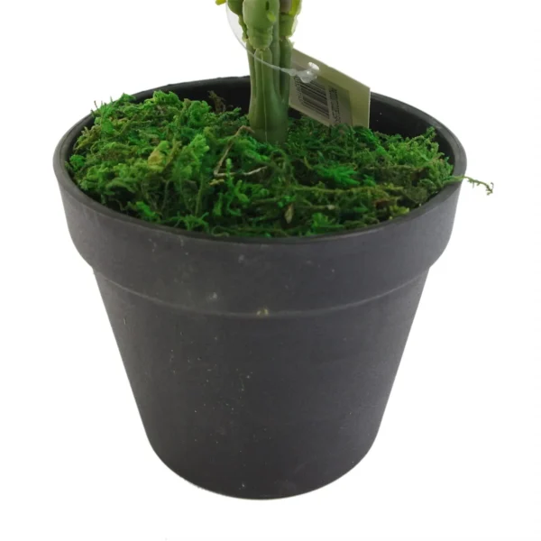 Artificial Foliage Plant Pot 60cm Artificial Green Stripe - Image 3