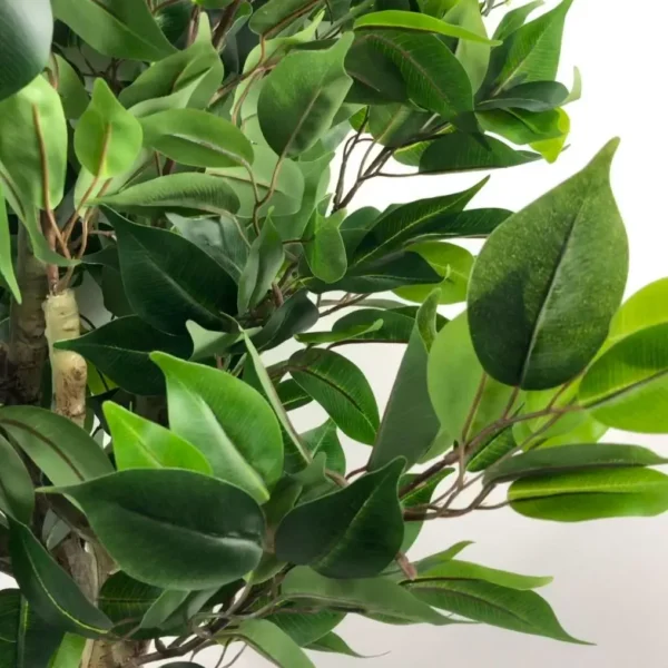 Artificial Ficus Tree Plant Ficus 110cm Plants Leaf - Image 5