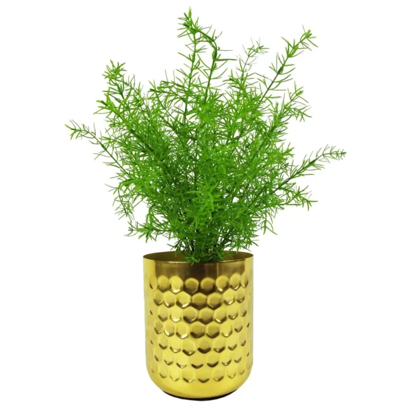 Artificial Fern Plant 45cm Artificial Asparagus Fern Plant - Image 2