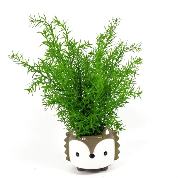 Artificial Fern Plant 45cm Artificial Asparagus Fern Plant - Image 3