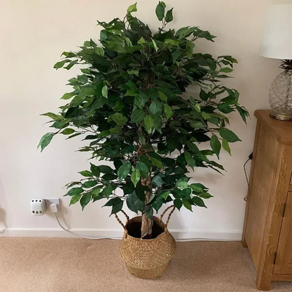 Artificial Ficus Tree Plant Green Bushy Ficus 90cm Silver Planter - Image 3