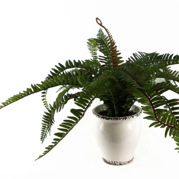 Artificial Fern Bush in Decorative Planter - Image 3