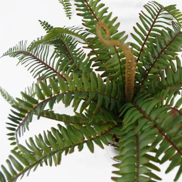 Artificial Fern Bush in Decorative Planter - Image 4