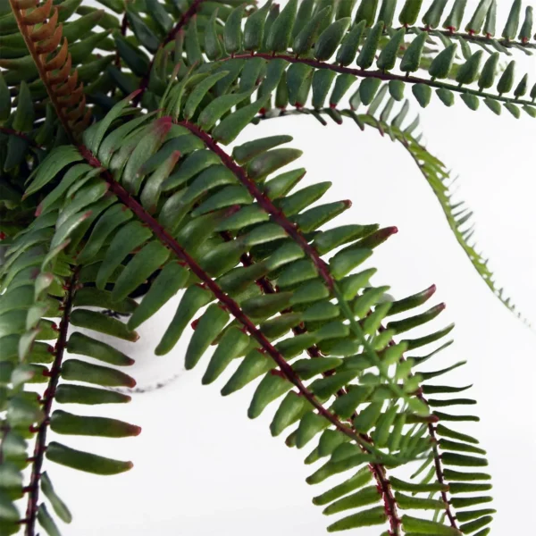 Artificial Fern Bush in Decorative Planter - Image 7