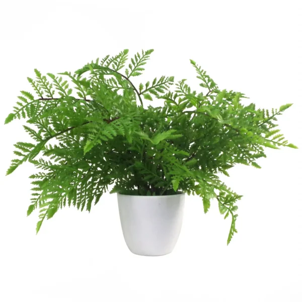 Artificial Ferns Plants Pack 3 x 30cm Botanical Fern 30cm Display - Image 5