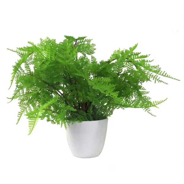 Artificial Ferns Plants Pack 3 x 30cm Botanical Fern 30cm Display - Image 6