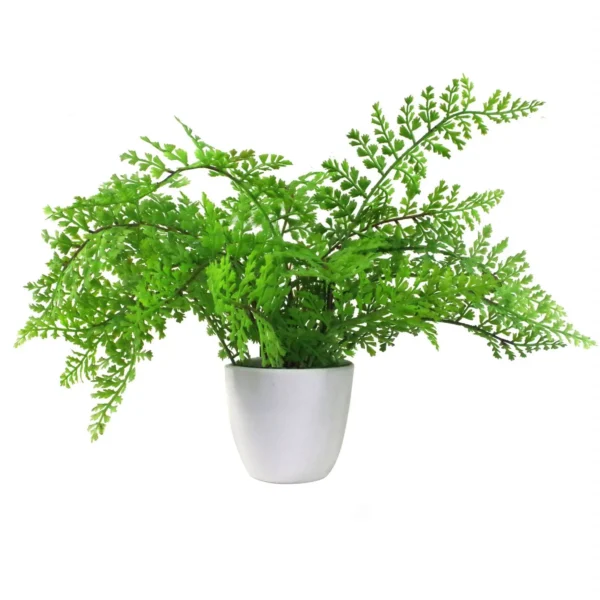 Artificial Ferns Plants Pack 3 x 30cm Botanical Fern 30cm Display - Image 7