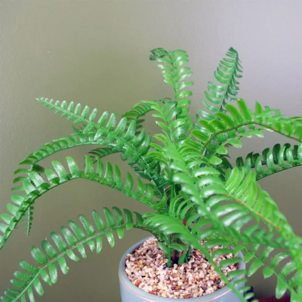 Artificial Fern Ceramic Planter & 40cm - Image 4