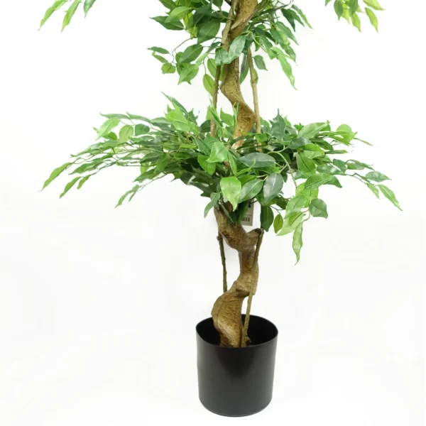 Artificial Ficus Triple Ball Tree 6ft - Image 3