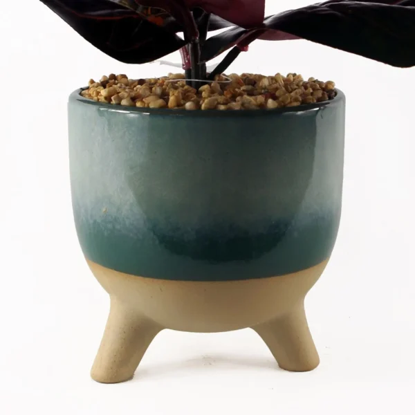 Artificial Ficus Plant Teal Blue Green Ceramic Planter - Image 2