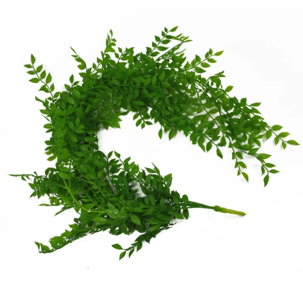 Artificial Hanging Fern Plant 100cm Pearls Fern Plant Pack x 6 - Image 5