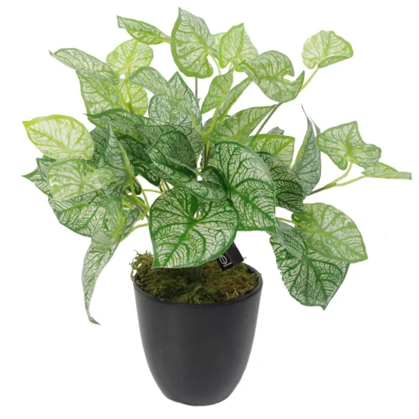 Artificial Fern Plant 40cm Caladium Plants