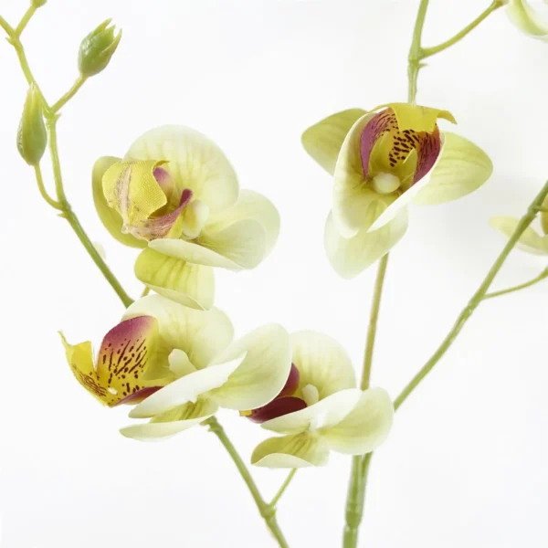 Artificial Flowers Cream Mini Orchid Stem 80cm - Image 3