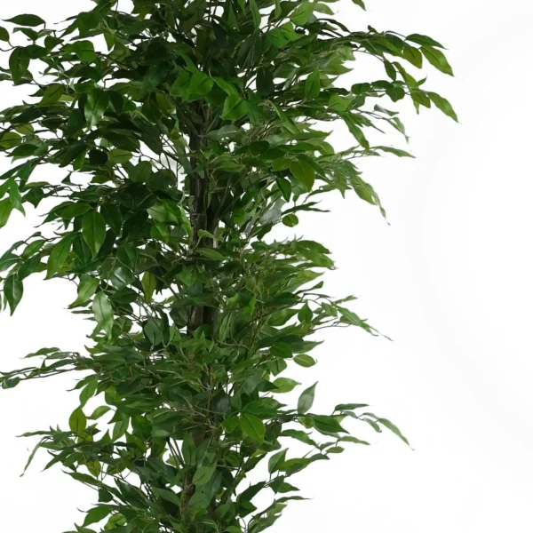 Artificial Ficus Tree Realistic - HUGE 180cm 6FT - Image 3