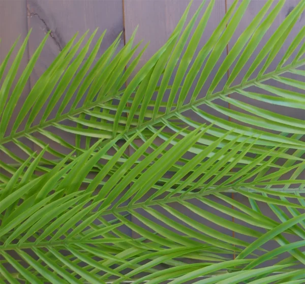 Artificial Hanging Fern Plant 120cm Artificial Hanging Palm Plant - Image 3