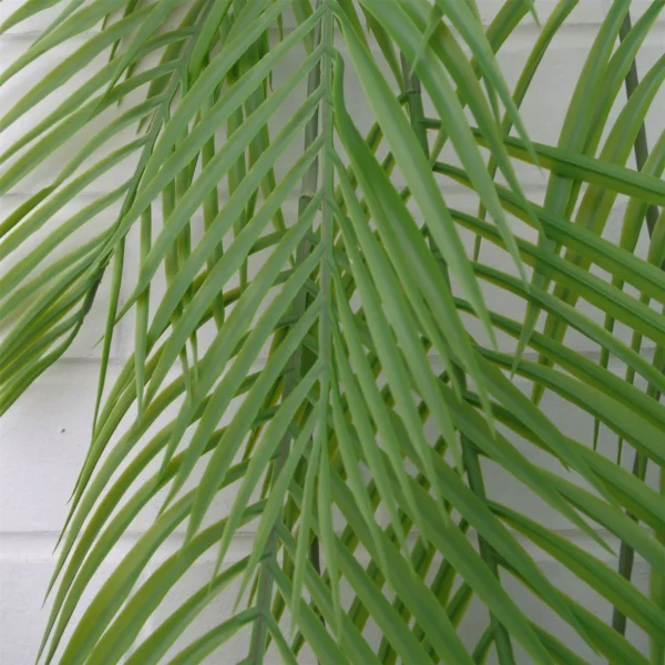 Artificial Hanging Fern Plant 120cm Artificial Hanging Palm Plant - Image 4