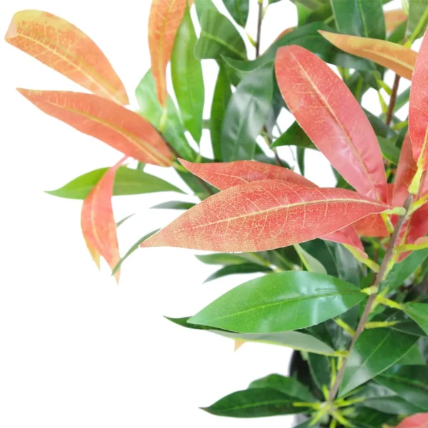 Artificial Ficus Tree Plant 80cm Red Green Mini Bush Colourful - Image 3