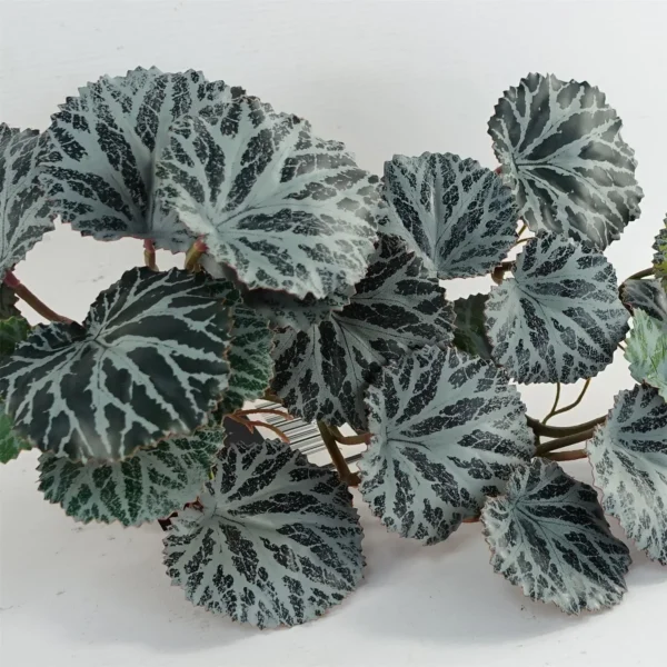 Artificial Hanging Plant Begonia Plant Pack x 6 - Image 2