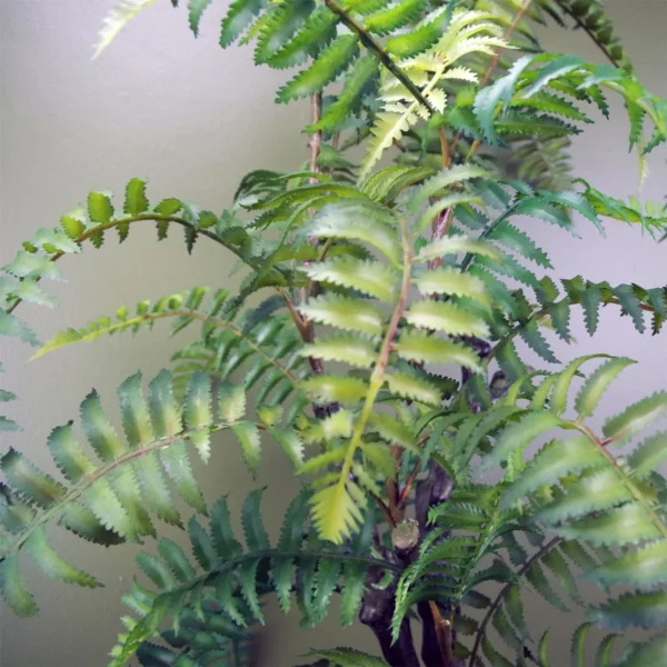 Artificial Fern Tree in Decorative Planter 70cm - Image 3